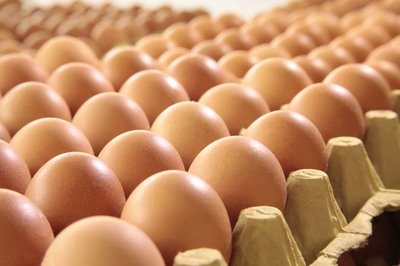 黑龙江鸡蛋检测价格,鸡蛋检测机构,鸡蛋检测项目,鸡蛋常规检测